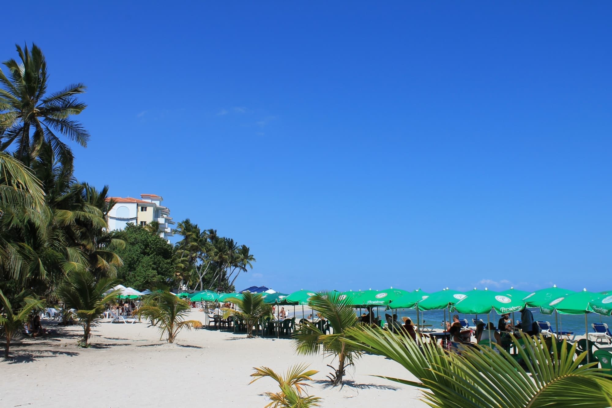 Beach umbrellas and palms on the sand at Juan Dolio