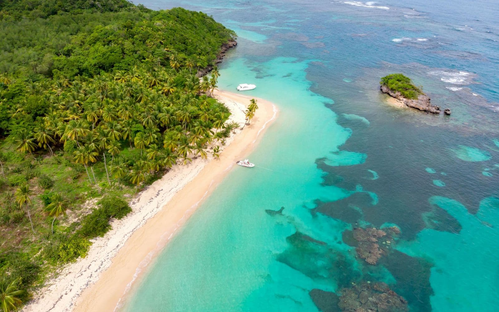 Aerial view of a beach with palm trees in the Dominican Republic