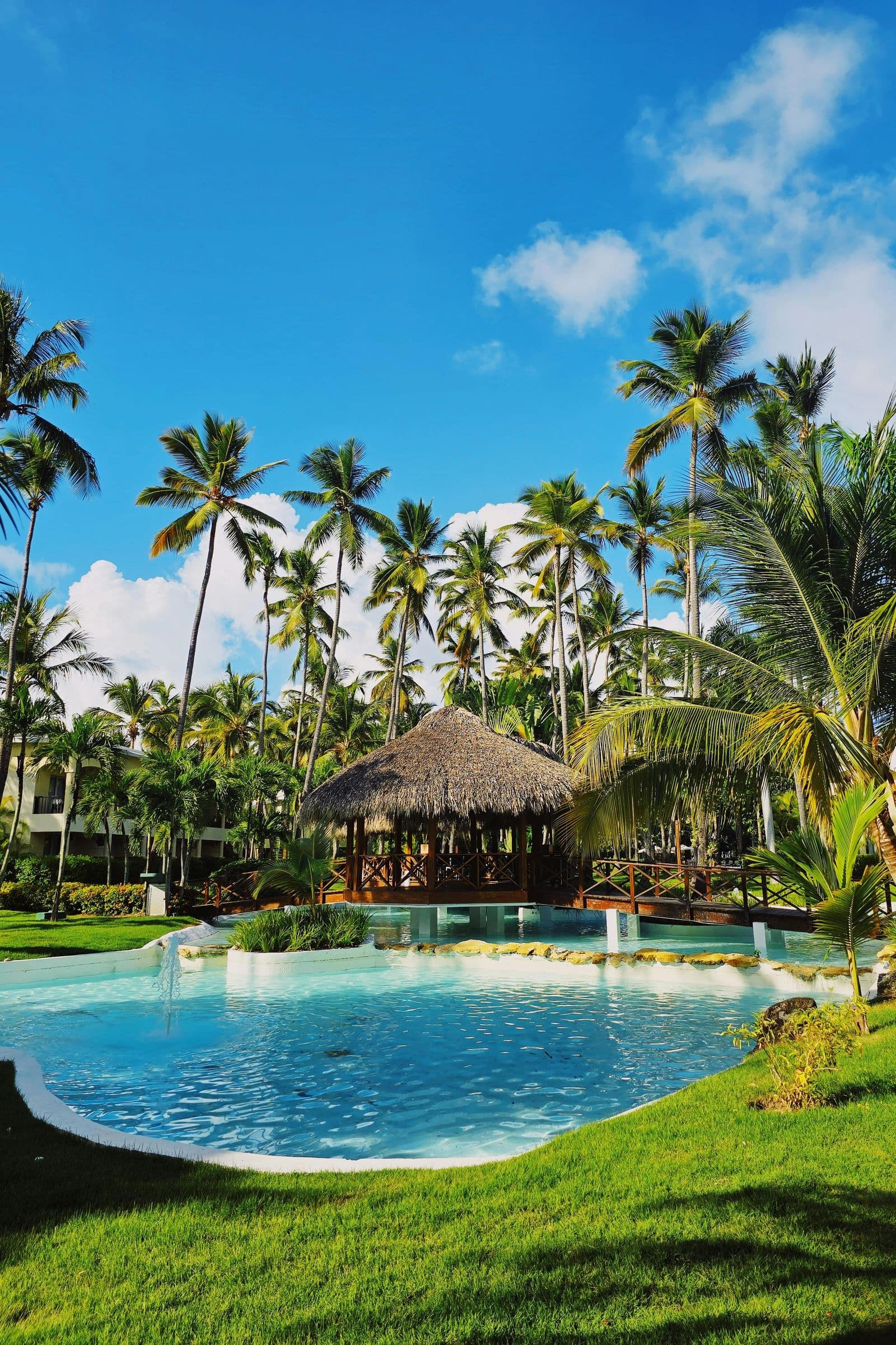 Resort pool with thatched bar surrounded by palm trees