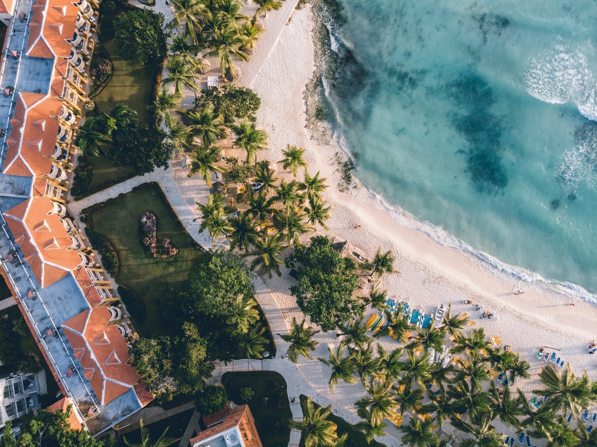 Aerial view of a beachfront resort and palms at Bayahíbe