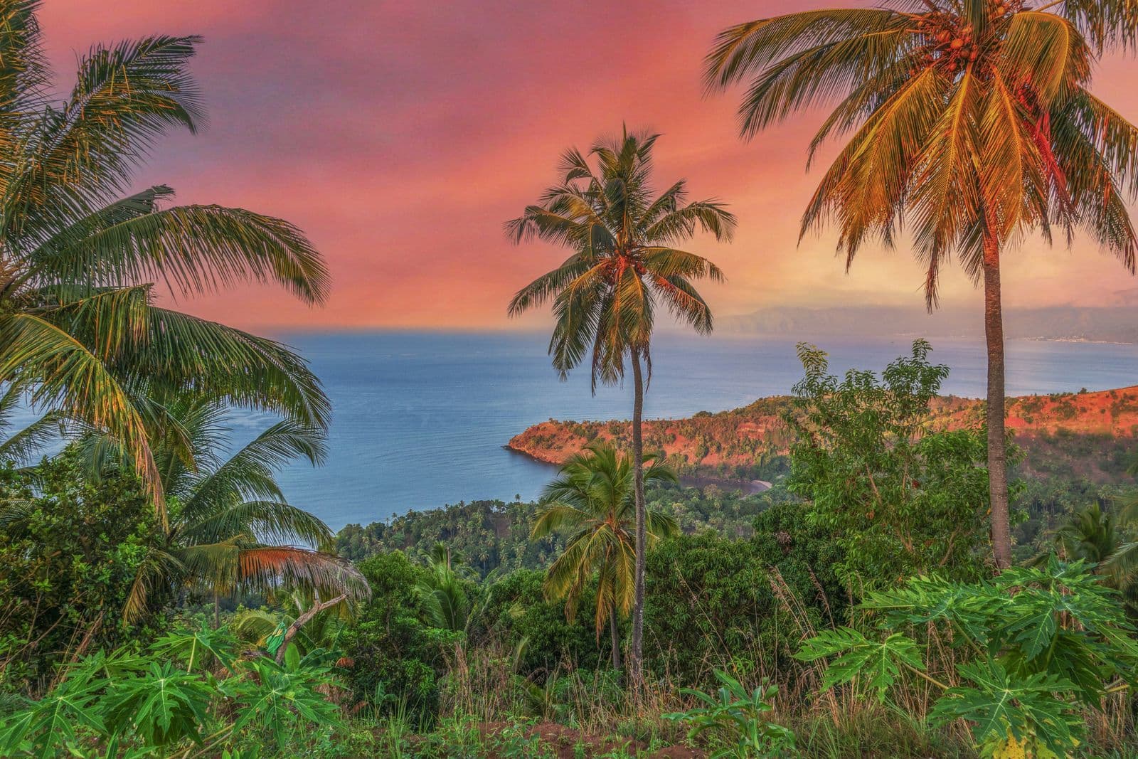 Tropical sunset ocean view from Samaná hillside